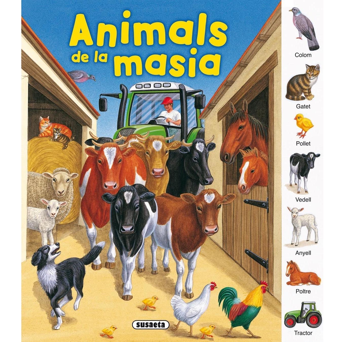 Imagen Principal
