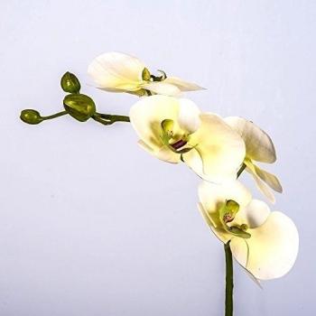 Decorativa rama textil de orquídea Phalaenopsis LAHNA, 4 flores, crema-verde, 65 cm - Rama artificial / Ramificación de plástico - artplants