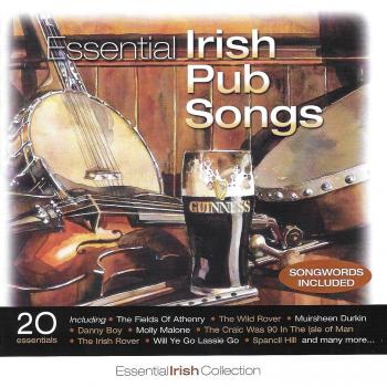 Essential Irish Pub Songs - ESICD 501