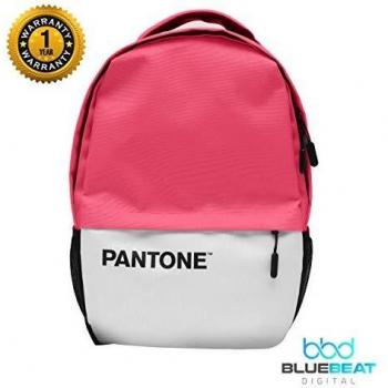 Mochila pantone para portatil 15.6pulgadas + puerto usb rosa