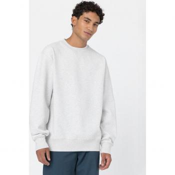 Dickies - Sudadera de hombre con capucha