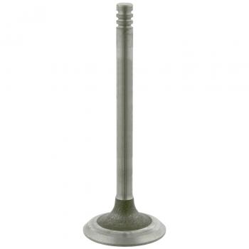 Febi-Bilstein 23956 Válvula de admisión