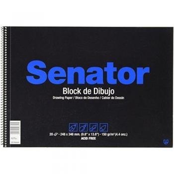 Unipapel Centauro 82061 - Bloc de dibujo, formato folio prolongado, liso, 20 hojas