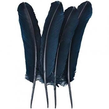 Touch of Nature 40365 Pluma de Pavo para Arte y Manualidades, 4 Piezas, 30 a 33 cm, Color Negro