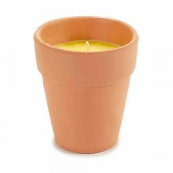 Vela Citronela Estándar 8 x 8 x 8 cm (12 Unidades)