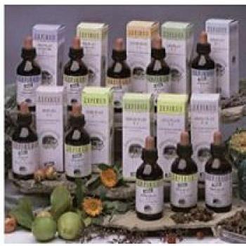 Santiveri Immuno Plant Nº9 Extracto Hidroalcohólico 100ml