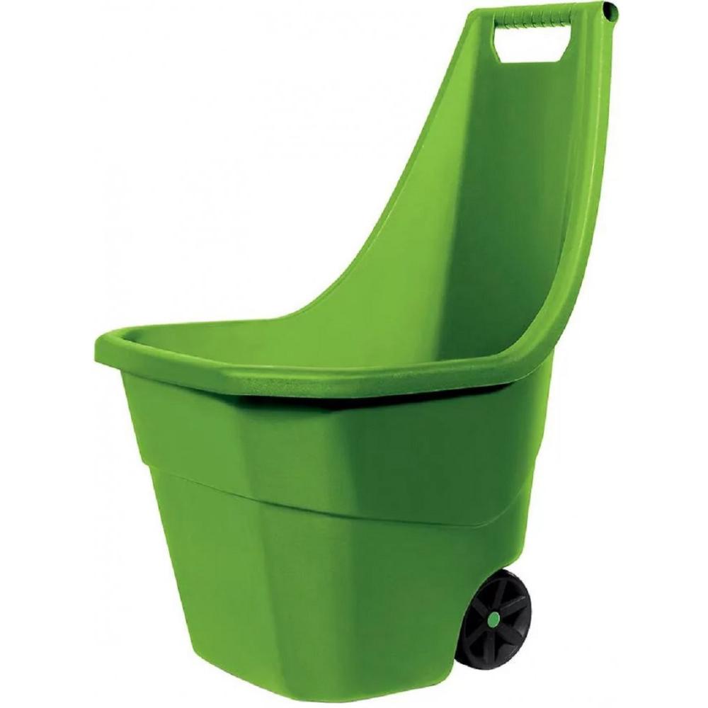 Imagen Principal