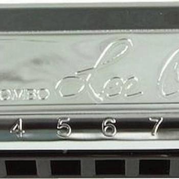 Lee Oskar Harmonic Minor Harmonica in D (Model 1910H-MIN-D)