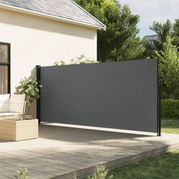 Toldo lateral retráctil antracita 160x300 cm