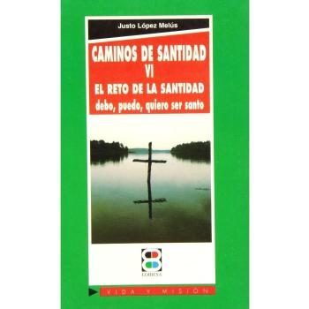 Caminos de santidad VI: El reto en la santidad: debo, puedo, quiero ser santo: 74