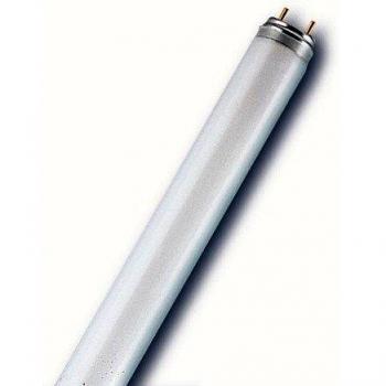 Tubo Fluorescente T8 36W 865 Radiante ADoceVoltios