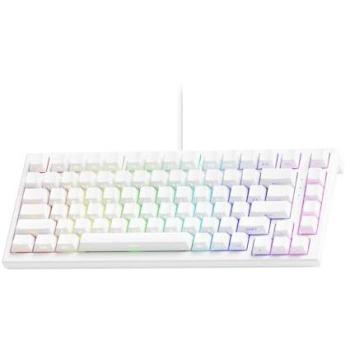 Akko TAC75 HE Magnetic 75% Gaming Keyboard - Rapid Trigger, 0.005mm ARGB, 8K Polling Rate, Wired Customizable Keyboard