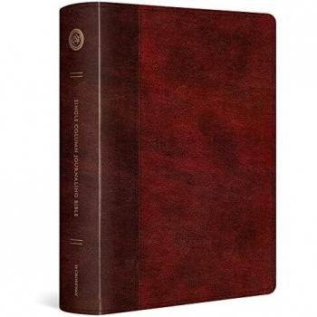 ESV Single Column Journaling Bible, Large Print