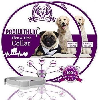 prowithlin Collar Antiparasitario para Perros contra Pulgas, Garrapatas Y Mosquitos, 8 Meses de Duración de Protección, Composición de Aceite Natural, No tóxico y Seguro