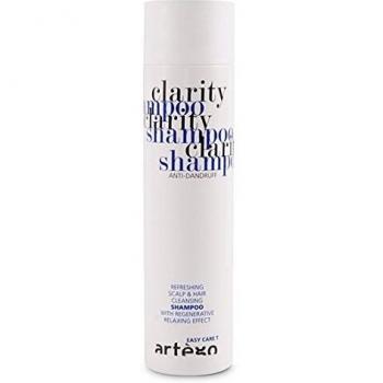 Champú Anticaspa Artego Easy Care T Clarity 250 ml