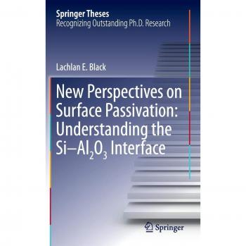 New Perspectives on Surface Passivation: Understanding the Si-Al2O3 Interface