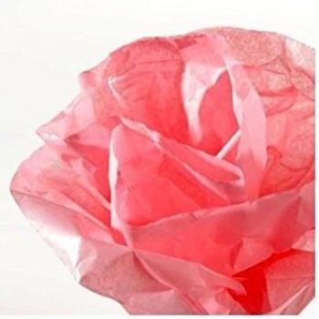Rollo 50x500 cm, Canson Seda 20g, Rosa