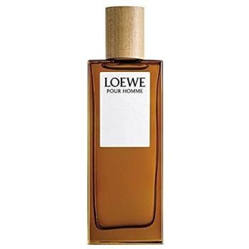 Loewe Pour Homme 150ml Eau de Toilette Spray for Men