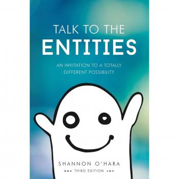 Talk to the Entities: A Guide to Communicating with Spirits and Energies by Shannon O'Hara