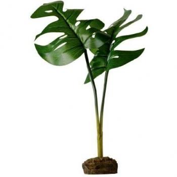 Exo Terra Planta