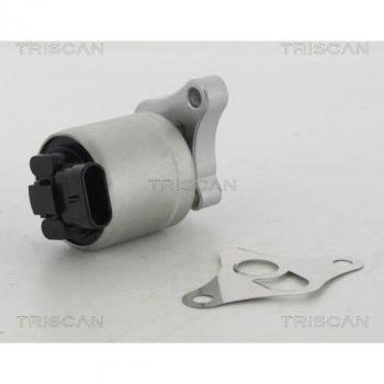 Válvula EGR TRISCAN 8813 24002