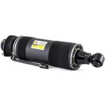 Arnott SK-2415 Suspension Strut Assembly