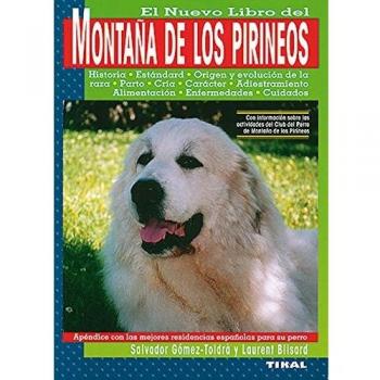 Montaña De Los Pirineos