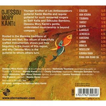 River Strings - Maninka Guitar