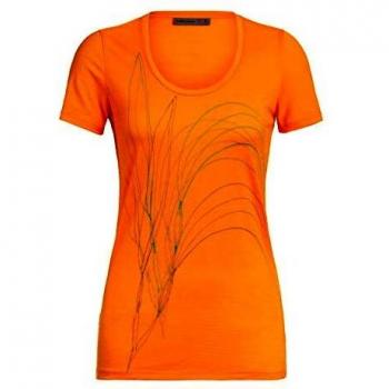 Icebreaker Scoop Van Life - Camiseta para Mujer, Color Sun, tamaño Extra-Large