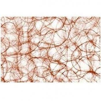 Sizoweb-mantel individual nawemo - 50 x 33 cm - 12 pcs - 64 P 025 025025