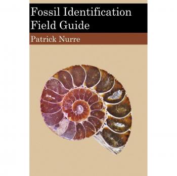 Fossil Identification Field Guide: A Comprehensive Resource for Paleontology Enthusiasts