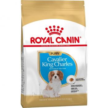 Royal Canin Cavalier King Charles Puppy - Pack Ahorro 3 x 1,5 kg