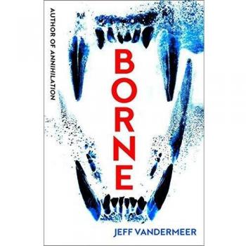 Borne - Vandermeer Jef