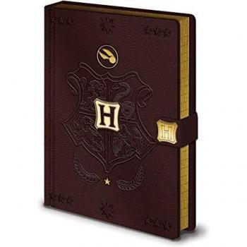 Harry Potter - Cuaderno de notas A5 Premium - Quidditch