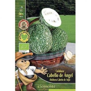 Semillas ecológicas de Calabaza cabello de ángel