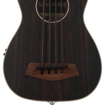 Kala Striped Ebony Fretted U-Bass with Case