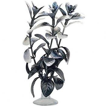 Marina 12078 Plantas con Ventosa Ludwigia