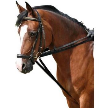PFIFF 004239-60-Full - Riendas para Caballo, Color Negro, Talla Warmblut/Full