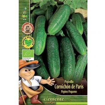 Semillas ecológicas de Pepinillo Cornichon