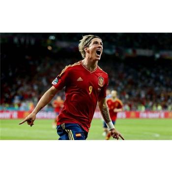 Fernando Torres Poster On Silk <56cm x 35cm, 22inch x 14inch> - Cartel de Seda - 70DCA4
