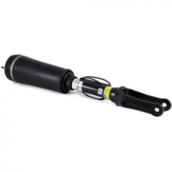 Arnott AS-2394 Suspension Strut Assembly