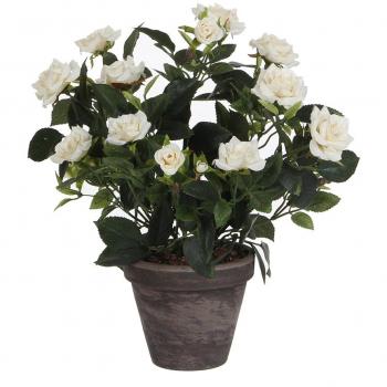 Planta Decorativa Mica Decorations Rosal Cerámica PVC