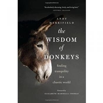 The Wisdom of Donkeys: Finding Tranquility in a Chaotic World