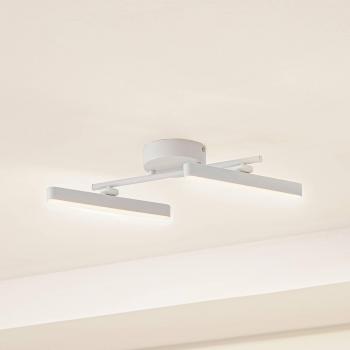 Foco LED Eldrin, blanco, 18W, 2 luces, metal, tira luminosa regulable