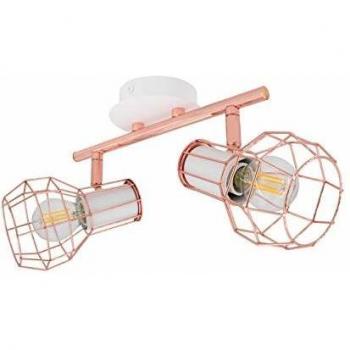 Lámpara de Techo Orientable 2 Focos Aluminio