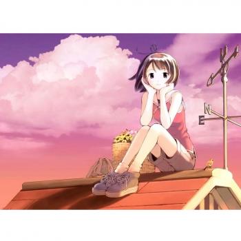 19x14 inch Mahou Tsukai ni Taisetsu na Koto Silk Poster Seda Cartel 5GS6-29E