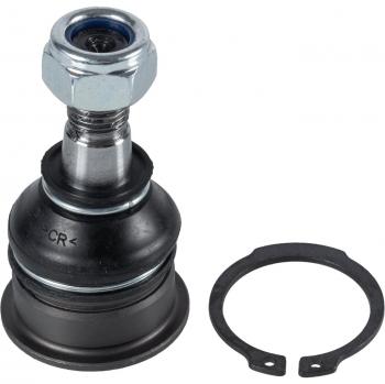 Rótula de suspensión Blue Print ADN18631 para NISSAN Sunny