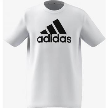 Adidas Essentials Big Logo Cotton Camiseta De Manga Corta Chicos - Blanco, Negro