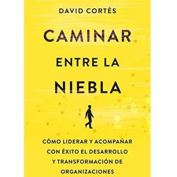 Caminar entre la niebla: Estrategias para liderar y acompañar con éxito el desarrollo organizacional