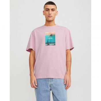 Jack & Jones Camiseta Manga Corta Vesterbro Picture